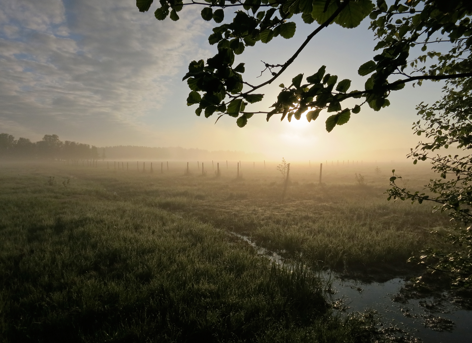 Vanhankaupunginlahti Citynature